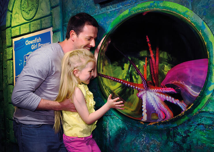 SEA LIFE® Kansas City Aquarium